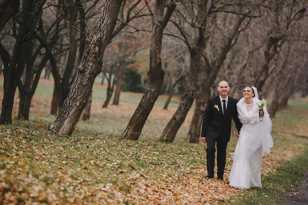 Matrimonio coppia — Foto Stock