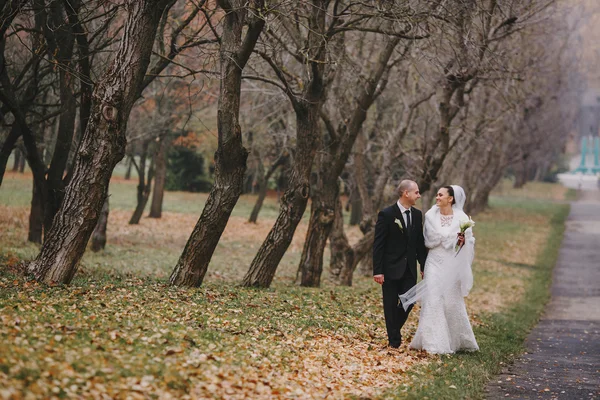 Matrimonio coppia — Foto Stock