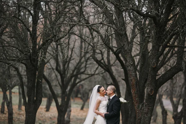 Casamento casal — Fotografia de Stock