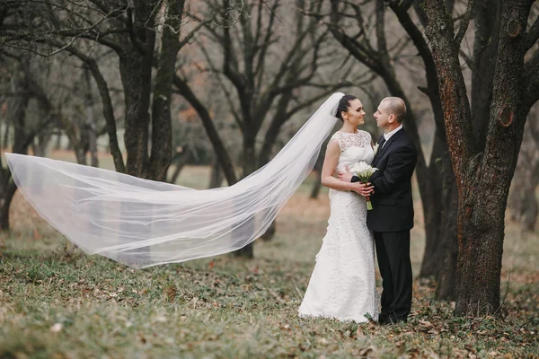 Matrimonio coppia — Foto Stock