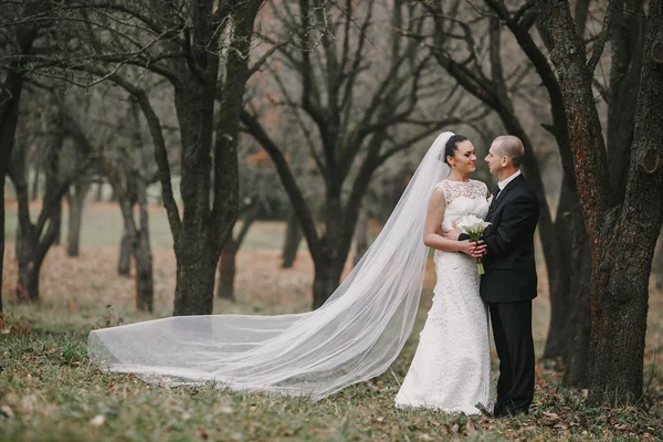 Matrimonio coppia — Foto Stock