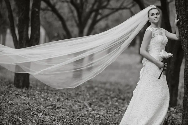 Matrimonio coppia — Foto Stock