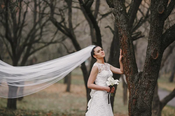 Matrimonio coppia — Foto Stock