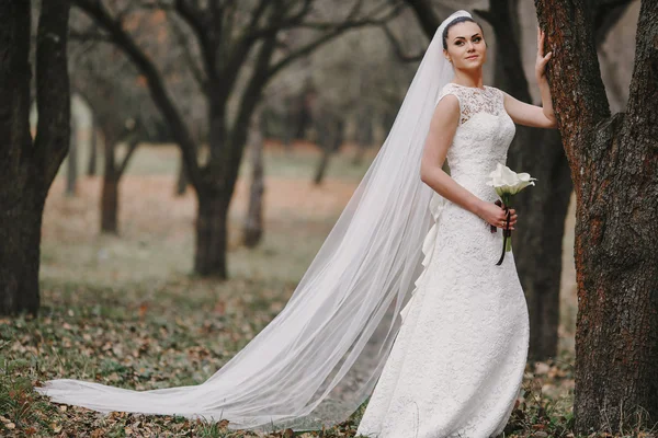 Matrimonio coppia — Foto Stock