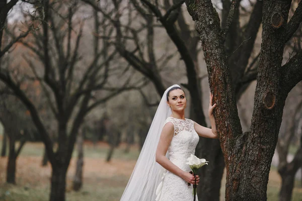 Matrimonio coppia — Foto Stock