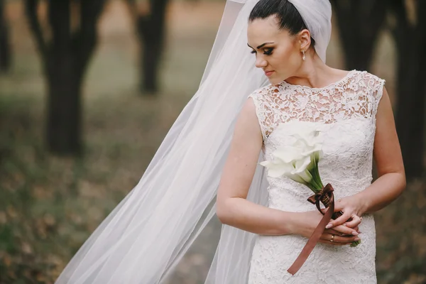 Pareja de boda — Foto de Stock