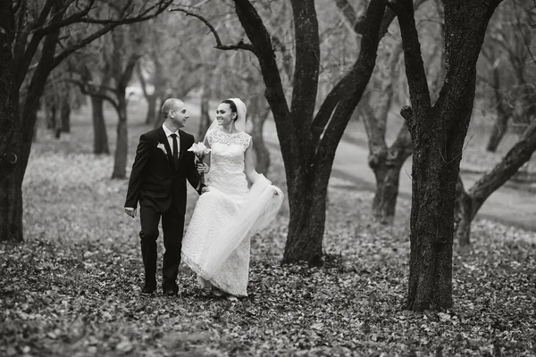 결혼식 한 쌍 — 스톡 사진