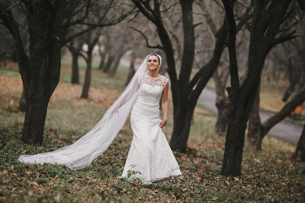 Wedding couple — Stock Photo, Image