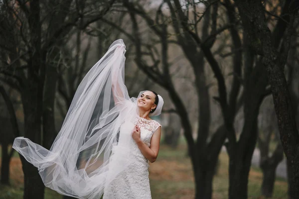 Pareja de boda — Foto de Stock