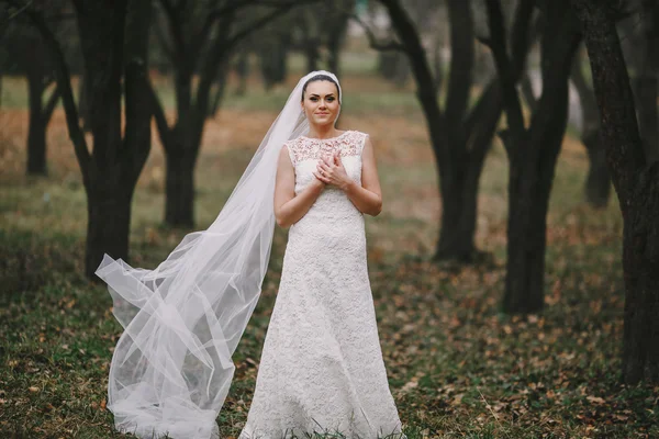 Matrimonio coppia — Foto Stock