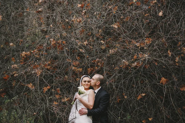 Casamento casal — Fotografia de Stock