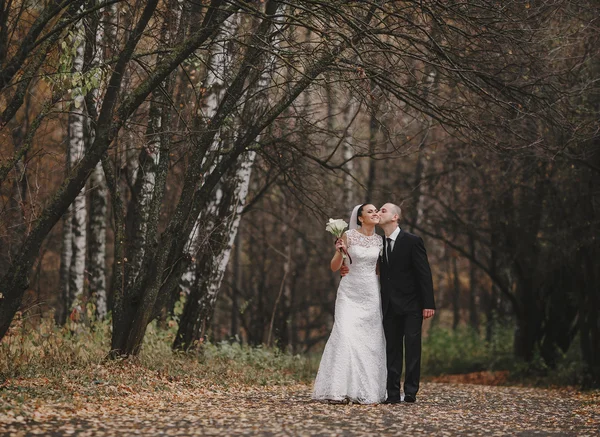 Matrimonio coppia — Foto Stock