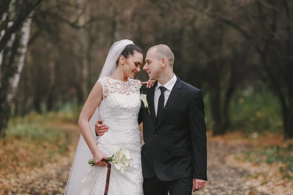 Wedding couple — Stock Photo, Image