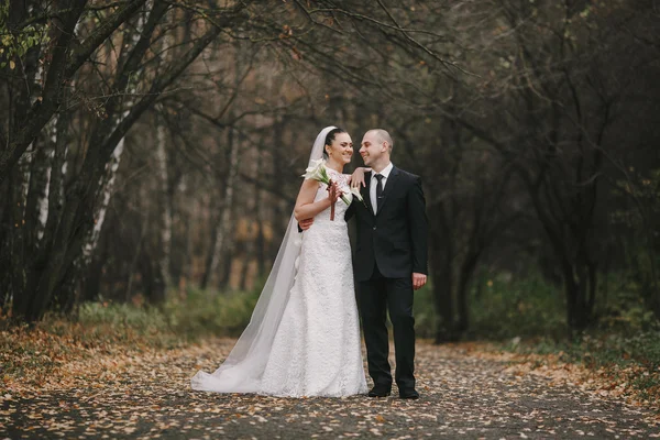 Matrimonio coppia — Foto Stock