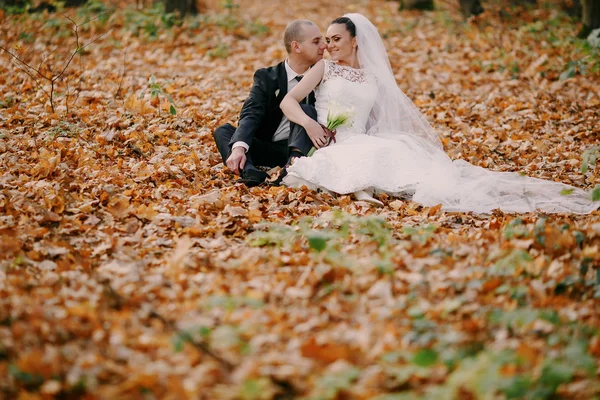 Matrimonio coppia — Foto Stock