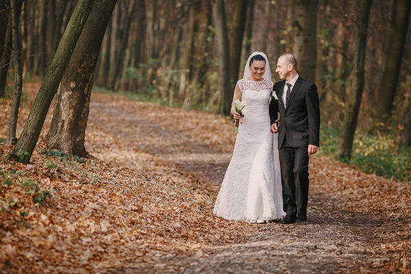 Matrimonio coppia — Foto Stock