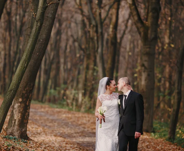 Matrimonio coppia — Foto Stock