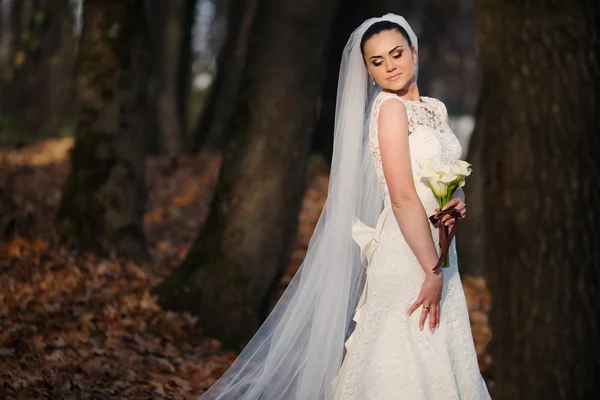 Casamento casal — Fotografia de Stock