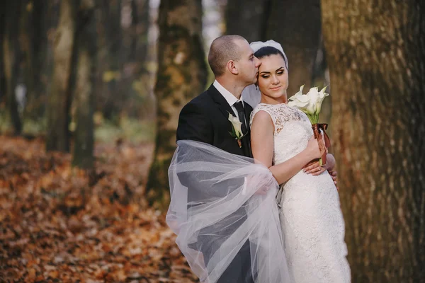 Matrimonio coppia — Foto Stock