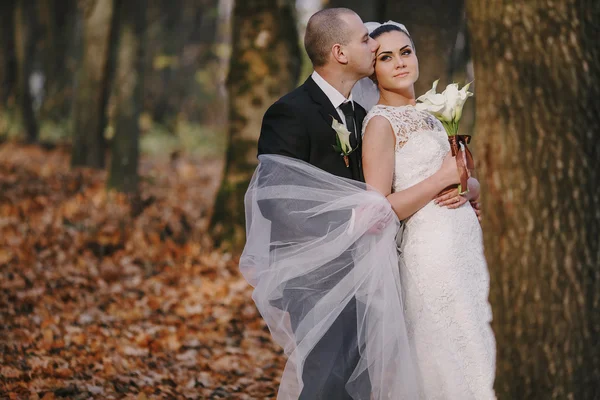 Matrimonio coppia — Foto Stock