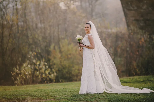 Pareja de boda — Foto de Stock