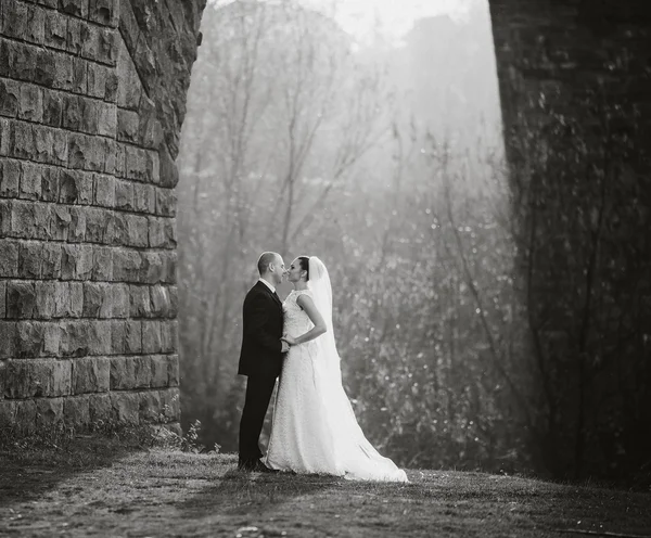 Wedding couple — Stock Photo, Image