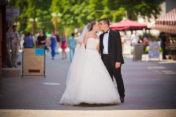 Modehochzeit — Stockfoto