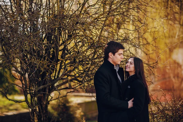 Loving couple — Stock Photo, Image