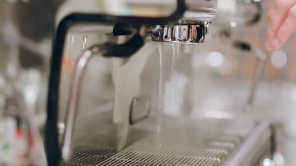 Caffè professionale in un caffè moderno — Video Stock