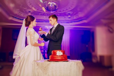 Düğün pastası Çift