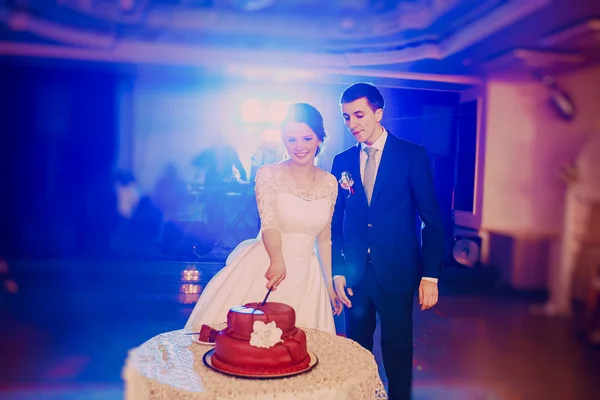 Casal bolo de casamento — Fotografia de Stock