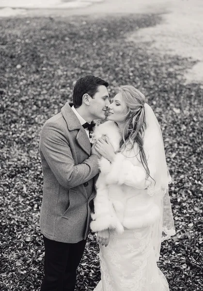 Mariage sur la plage en hiver — Photo