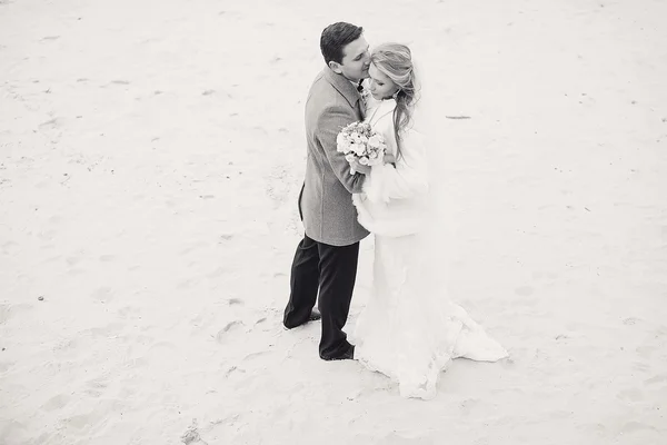 Wedding on the beach in winter — Stock Photo, Image