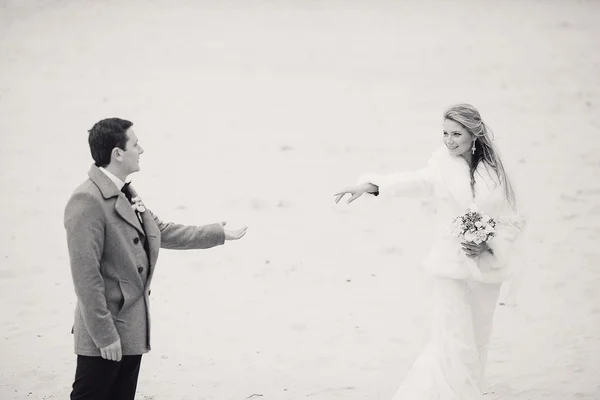 Matrimonio in spiaggia in inverno — Foto Stock