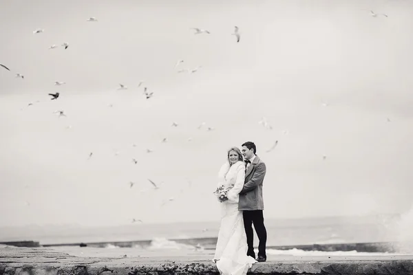 Hochzeit am Strand im Winter — Stockfoto