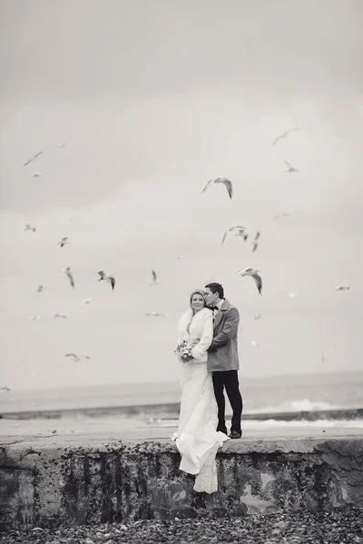 Hochzeit am Strand im Winter — Stockfoto