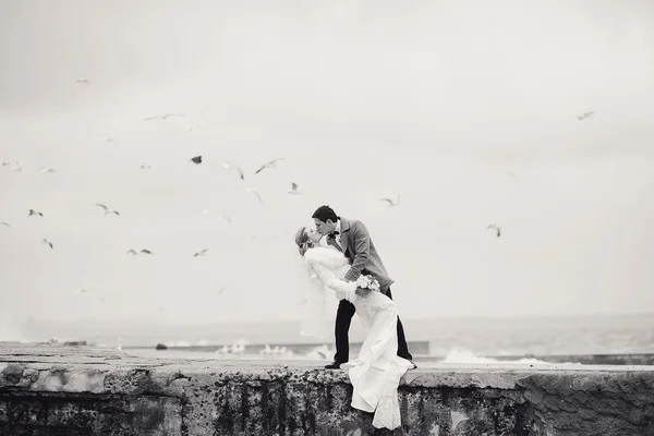 Bröllop på stranden i vinter — Stockfoto