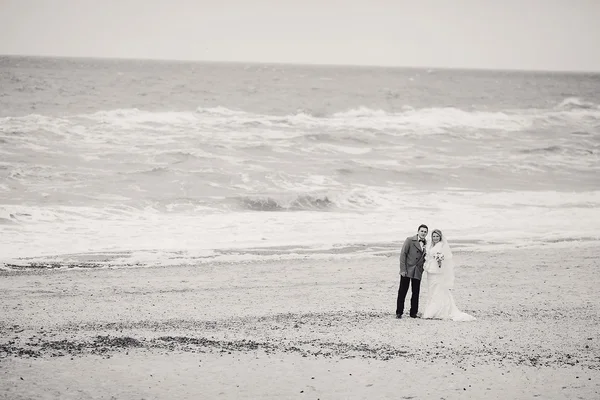 Hochzeit am Strand im Winter — Stockfoto