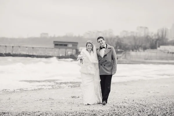 Весілля на пляжі взимку — стокове фото