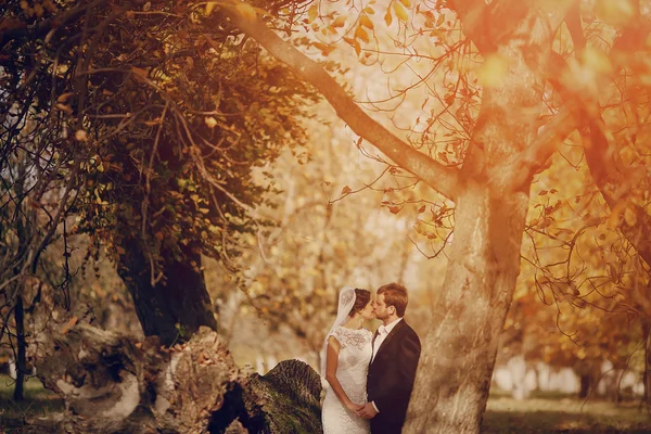 Hochzeitspaar verliebt im Freien — Stockfoto