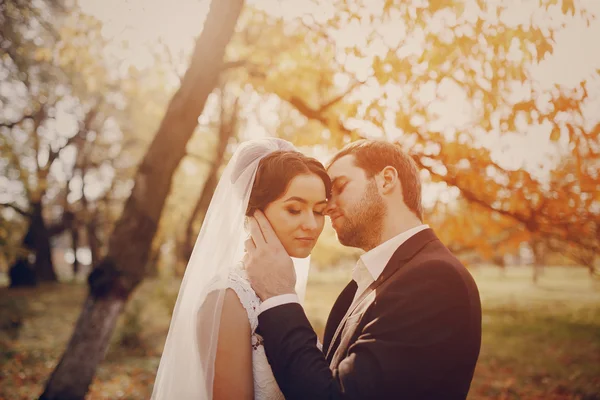 Couple de mariage amoureux en plein air — Photo