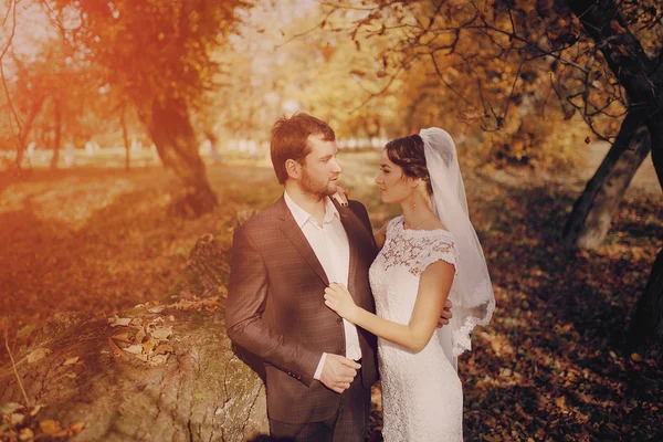 Wedding couple in love outdoors — Stock Photo, Image