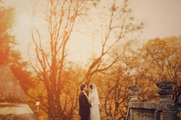 Couple aimant dans le château — Photo