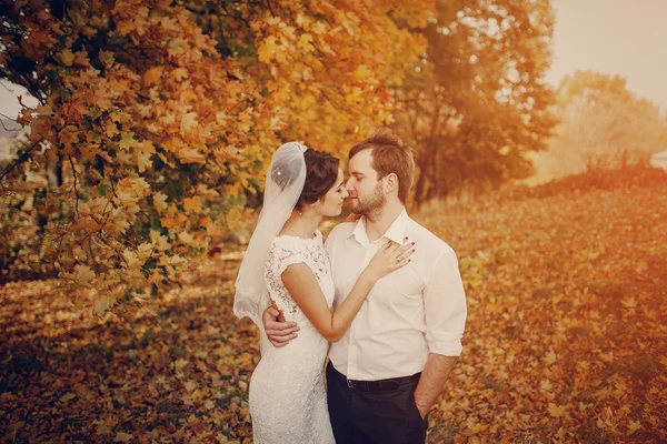 Hochzeitspaar verliebt im Freien — Stockfoto