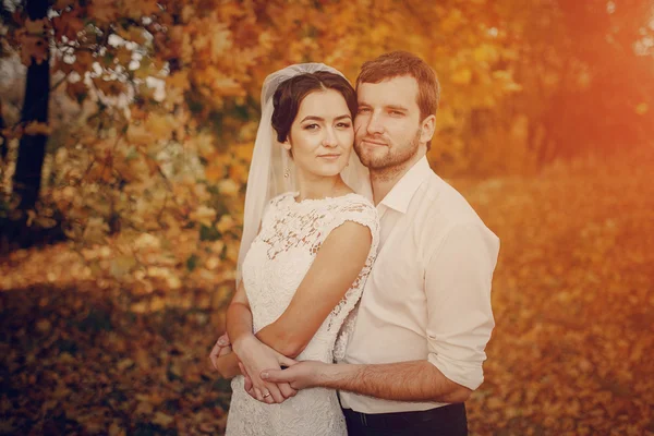 Pareja de boda enamorada al aire libre —  Fotos de Stock