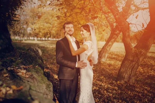 Pareja de boda enamorada al aire libre — Foto de Stock