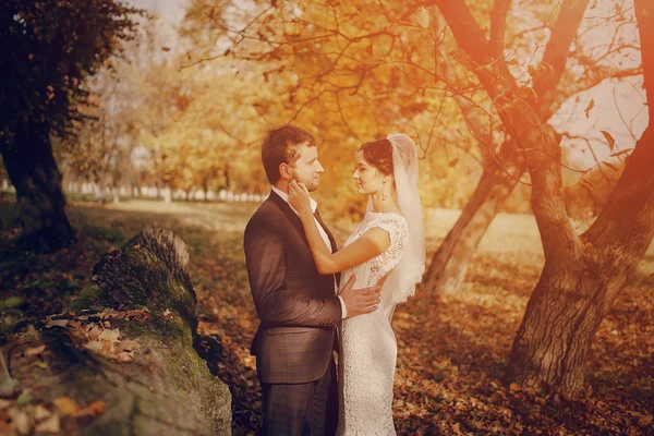 Pareja de boda enamorada al aire libre — Foto de Stock