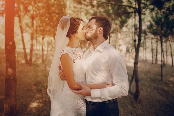 Hochzeitspaar verliebt im Freien — Stockfoto