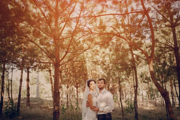 Casamento casal apaixonado ao ar livre — Fotografia de Stock