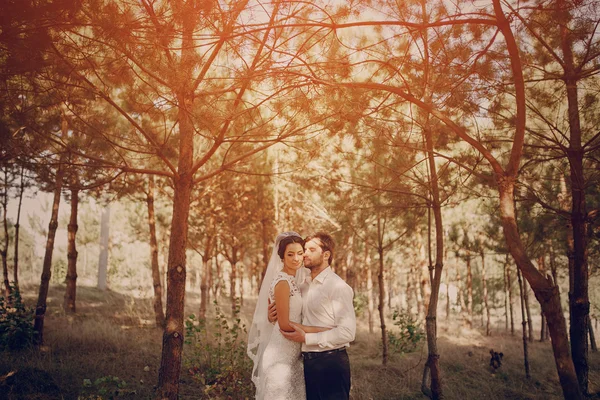 Couple de mariage amoureux en plein air — Photo